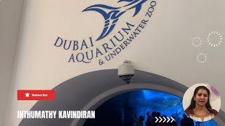 Dubai Aquarium & Underwater Zoo | Inthumathy Kavindiran