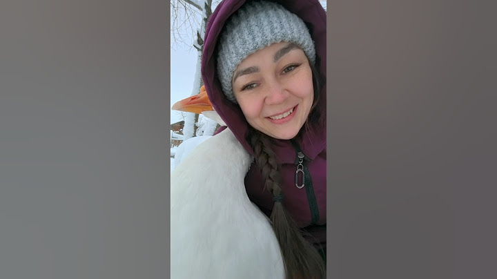 А вы всё ещё боитесь гусей ? Поддержите нас❤️мой вк и телеграм divaname #деревенскийблог