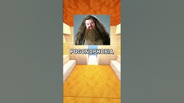Weird Phobias You Might Have