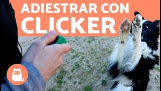 Clicker for Dogs - How to Train a Dog with a Clicker screenshot 1