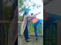 Untitled video