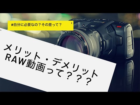(初心者必見) RAW動画って何？メリット デメリット