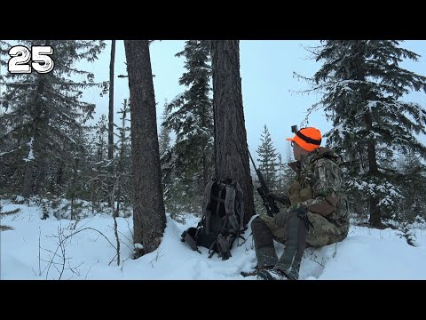 The First Red Squirrel Hunt Winter Cabin Camping 