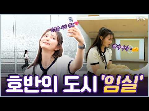 물안개가 피어나는 호반의 도시! 푸르른 자연을 품은 ‘임실’ 힐링 여행 코스 #임실 #여행 #국내여행 #임실여행 #옥정호 #출렁다리 #치즈테마파크