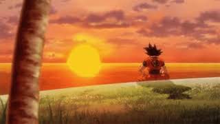 Waking up to the rising sun