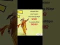 Odia Motivation | Life Change Speech | Success Tips in Odia
