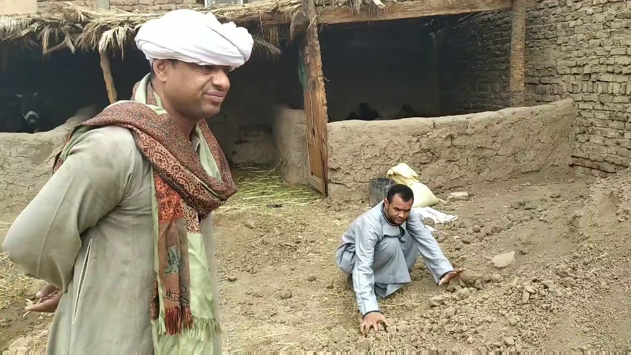 الحاج الضوى نايم فى البانيو وبيشيل تراب ضحك السنين