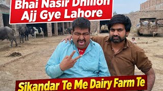 Download Lagu Sikndar nu shadi da chaa / Dhillon dairy farm  MP3