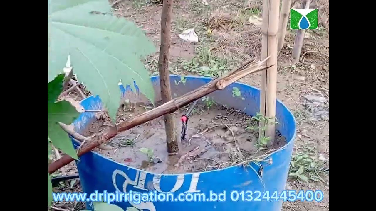 From Concept to Execution A Comprehensive Guide to Setting Up Drip