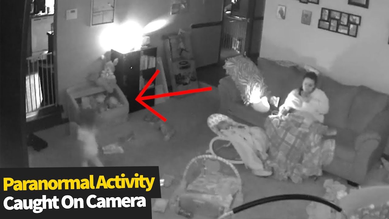 The Most Priceless Moments Caught On Cam