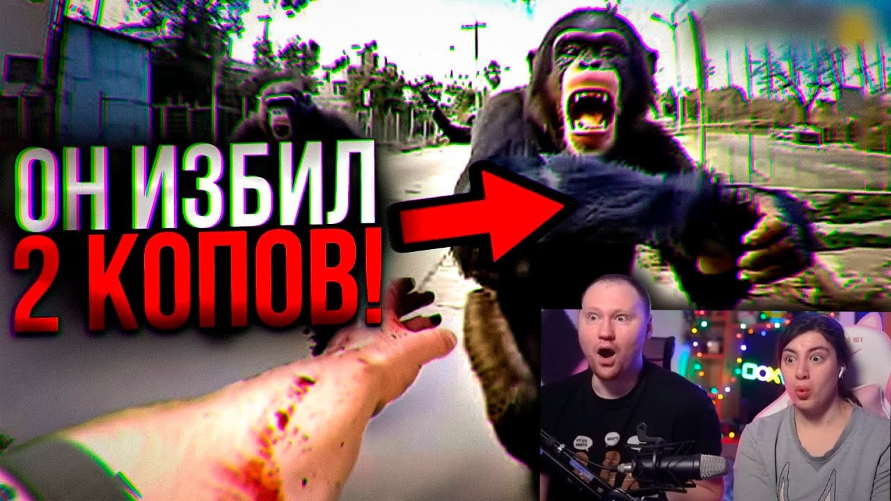 КОГДА КОПЫ СРАЖАЮТСЯ С ОПАСНЫМИ ЖИВОТНЫМИ | РЕАКЦИЯ