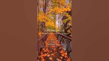 الشيخ سعد الغامدي || آيات من سورة يونس