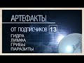 Артефакты от подписчиков 13. Гидра