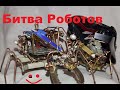 прикольная битва самодельных роботов жуков robot wars