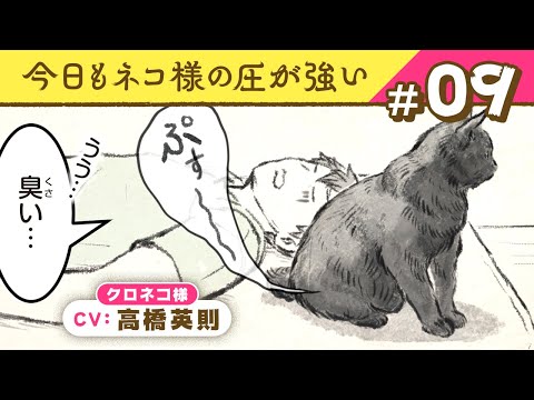 今日もネコ様の圧が強い - YouTube