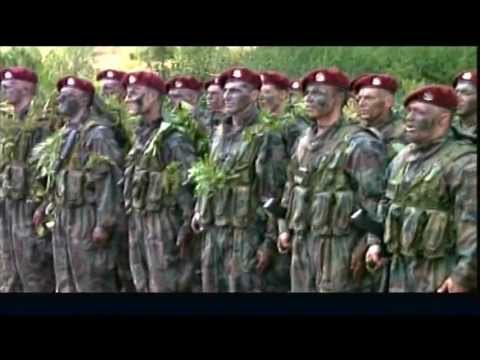 Video: Vojna jedinica br. 02511 (138. motorizovana streljačka brigada) u selu Kamenka, Viborški okrug, Lenjingradska oblast. 138. zasebna gardijska motorna streljačka brigada