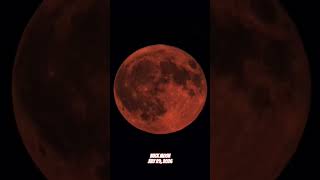 🌕🛩 Rising 'Buck Moon' on July 29, 2026. 🫎 #buckmoon #haymoon #fullmoon #luna #solarsystem