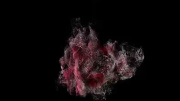 How to Sending Balikbayan Boxes To The Philippines.