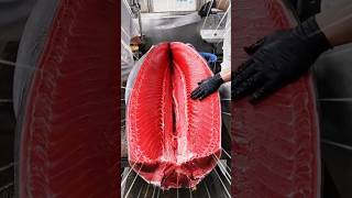 This Fish Cuts Like Butter! 😱 #shorts
