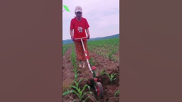 Nông cụ nông nghiệp Tháp Xanh, Công nghệ nông nghiệp, Thế giới Vật tư Máy móc