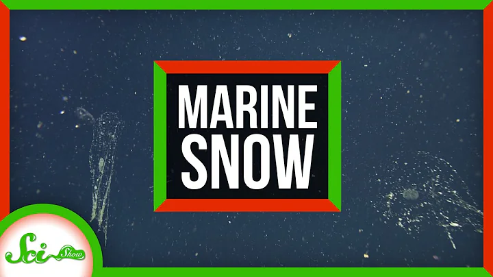 The Most Incredible Snowfall on Earth Occurs Deep ...