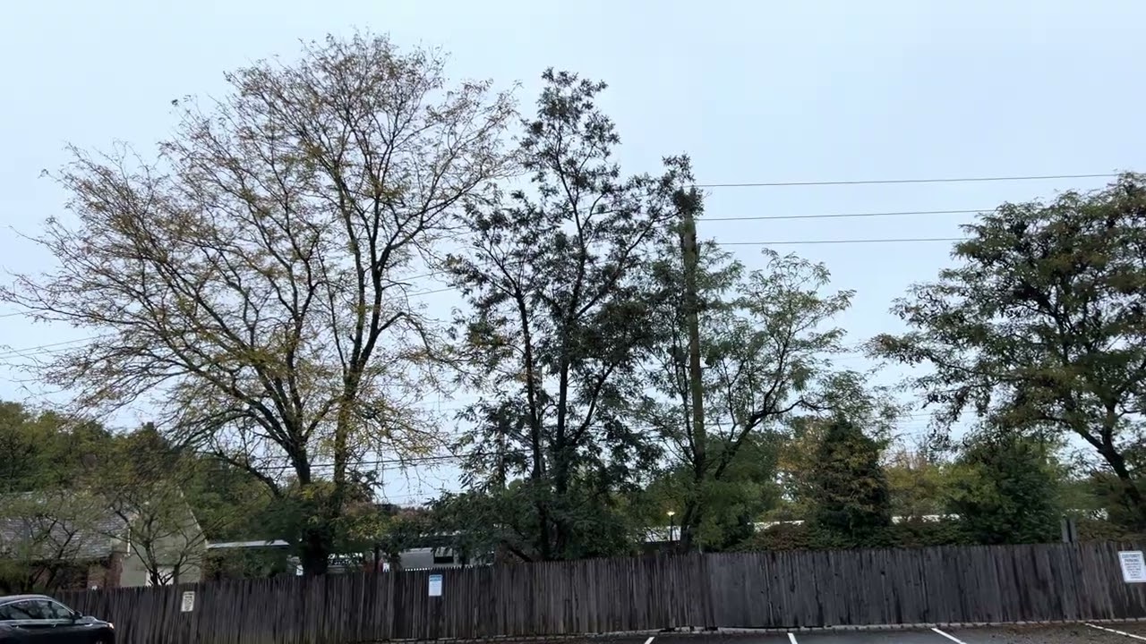 NJ Transit Lyons Station - Train 6431 with ALP-46A Unrestricted Horn and Comet Set 9-29-2023