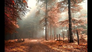 Icosphere - Fall In Deep (Atmospheric\Ambient)