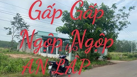 Gấp gấp gấp Đất An Lập - Dầu Tiếng 8x44 có 100 tc! Chốt nhanh 1 ty5