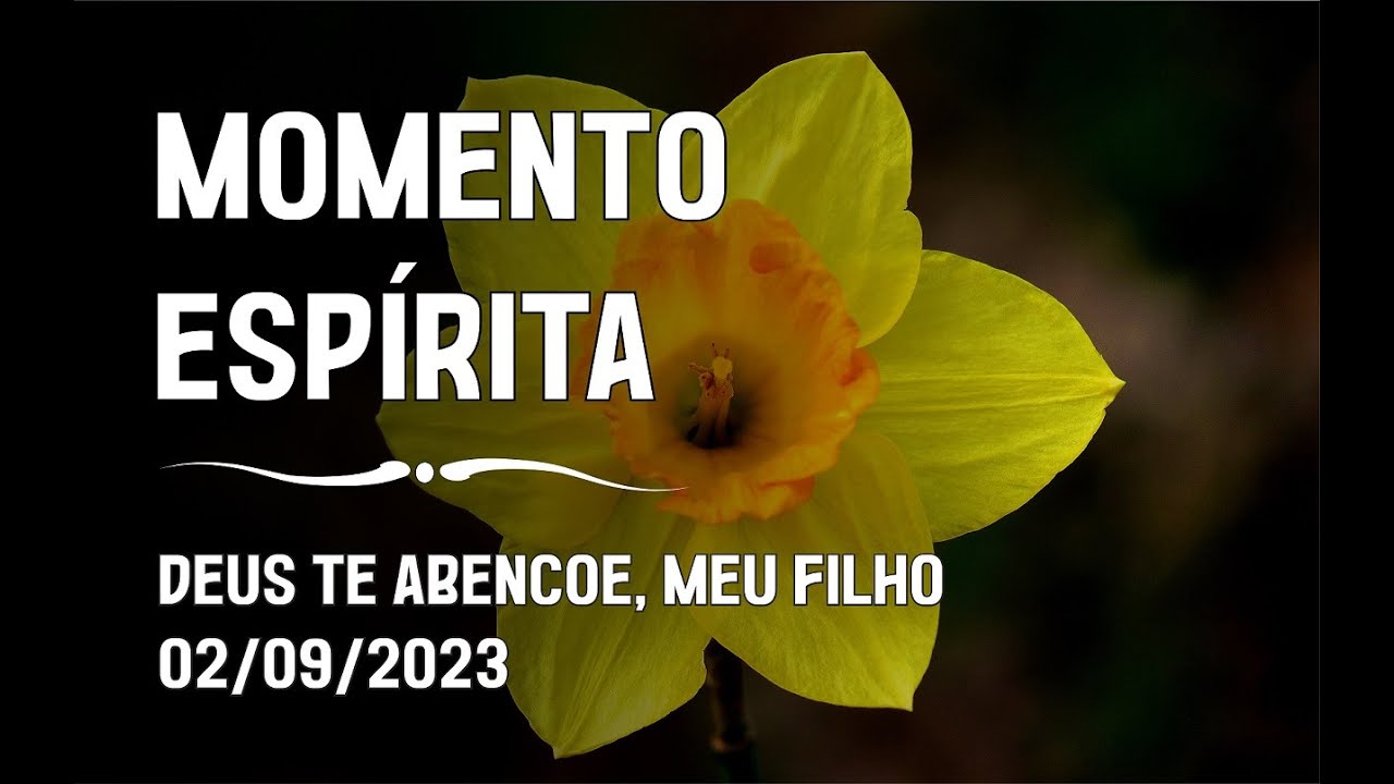Momento Espírita - Deus te Abençoe, Meu Filho