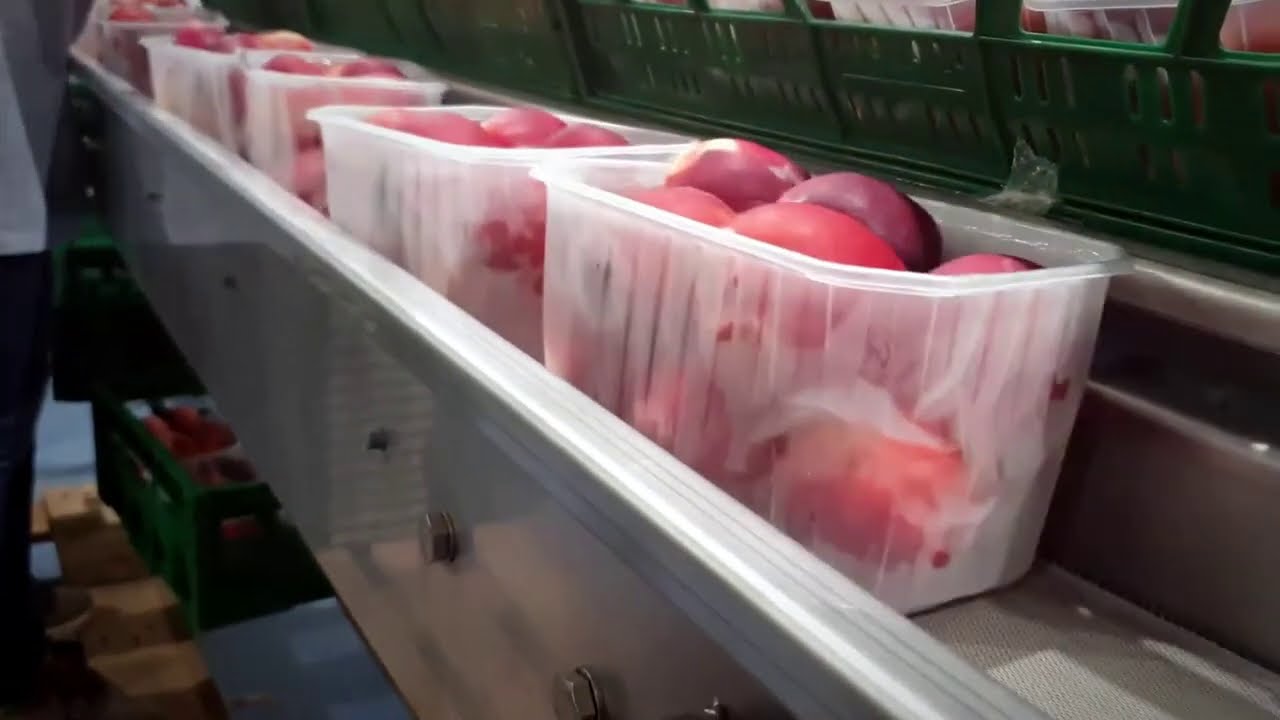 LINIE AUTOMATA DE AMBALAT LEGUME FRUCTE SI ALTE PRODUSE