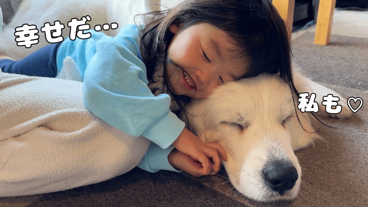 KY】3歳児が超大型犬に甘えて幸せそうにしていると弟たちが目の前で
