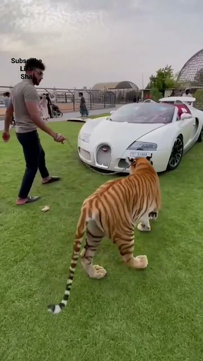 most expensive luxurious biggest car famous showroom #lover #shorts #car #tiktok #viral #reels #shot