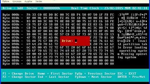 Display Disk Sectors in 386 Protected Mode [ Standalone Program ]