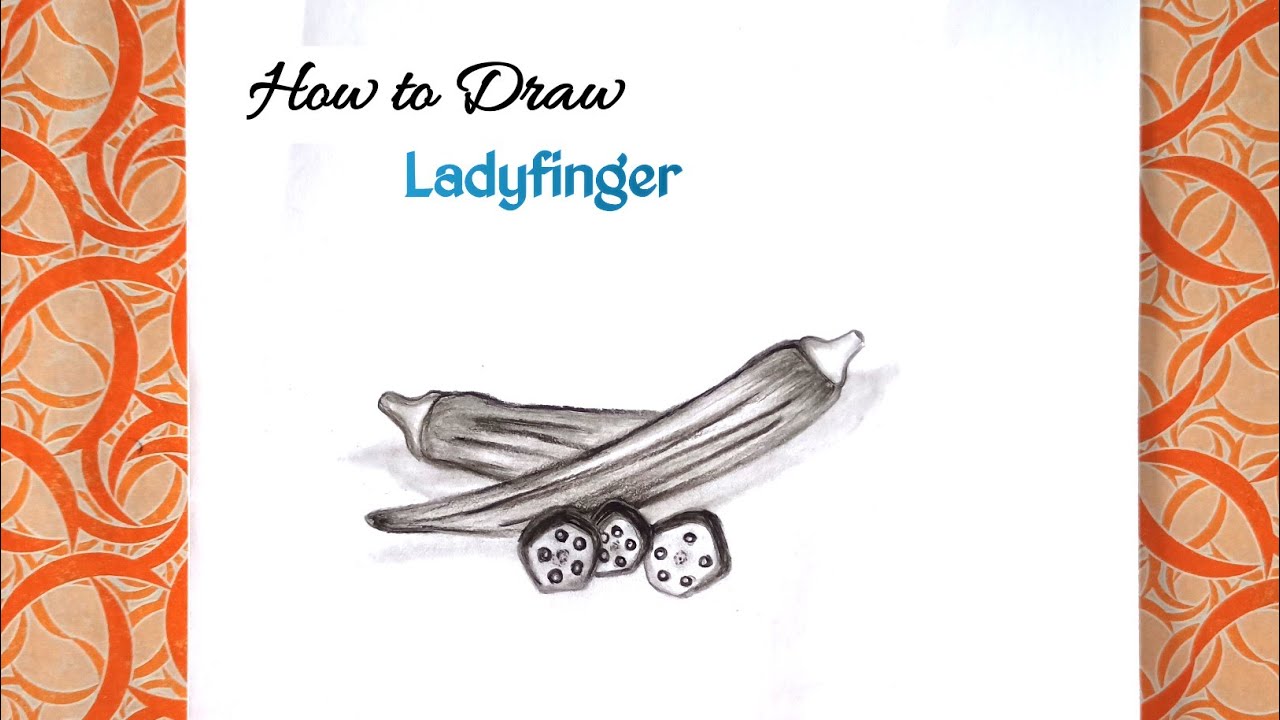 How to Draw Ladyfinger | Bhindi Drawing | Sketch Drawing | Easy Sketches -  YouTube