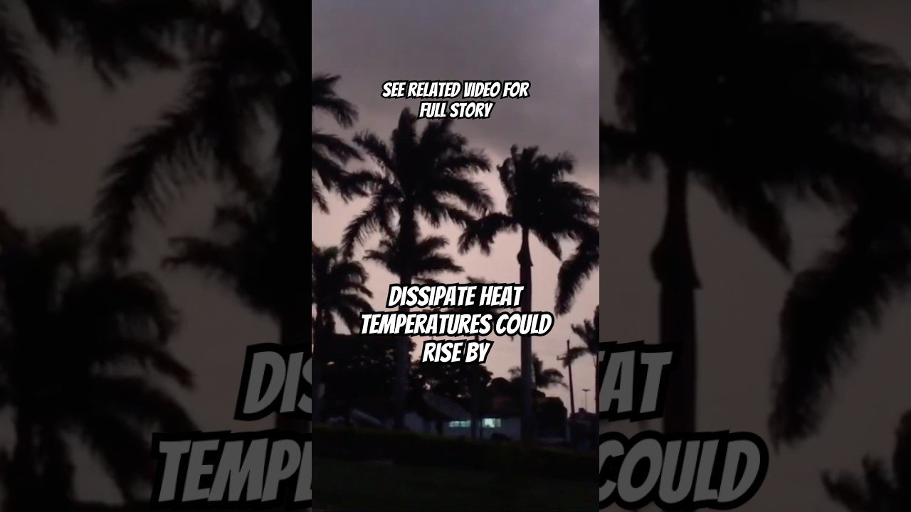 What Would Happen if The World Went a Year Without Wind?