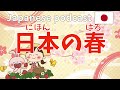 #15 Native Japanese podcast【日本の春】Listening practice | Jepang Hapon ญี่ปุ่น 일본어 tiếng Nhật
