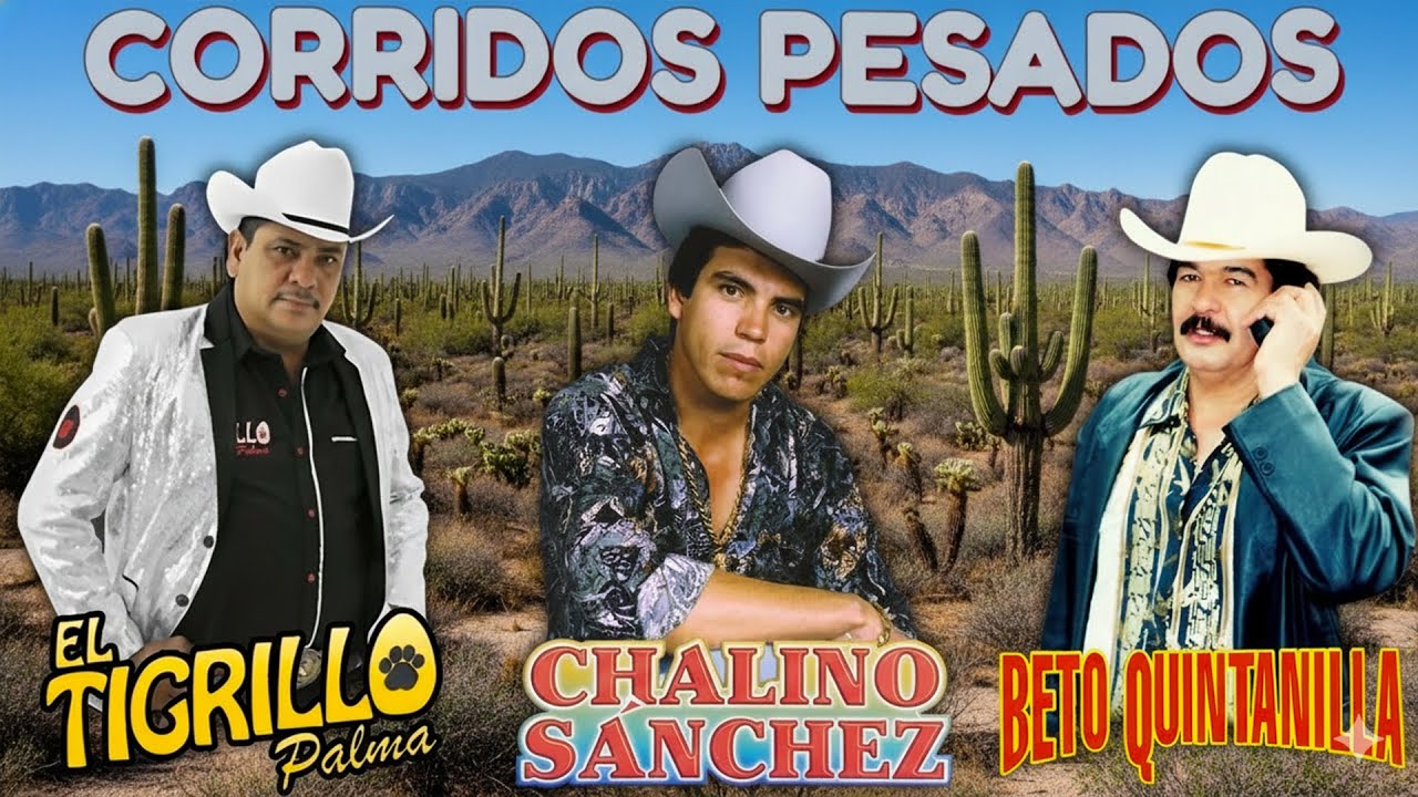 Chalino Sanchez, Beto Quintanilla y Tigrillo Palma Mix Para Pistear - Corridos Pesados Mix