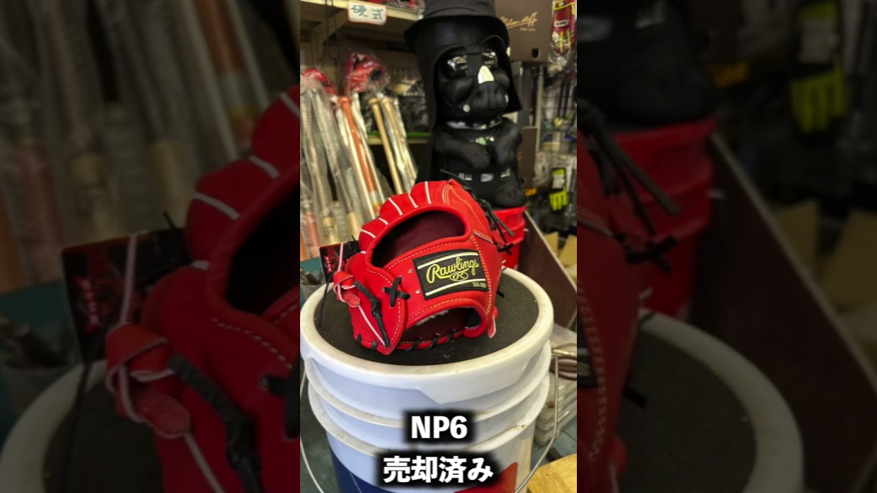 ローリングス NP6 