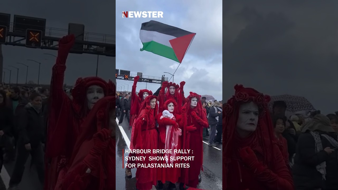Sydney Protest Palestine| Harbor Bridge Sydney #shorts #sydney #palastine #viral