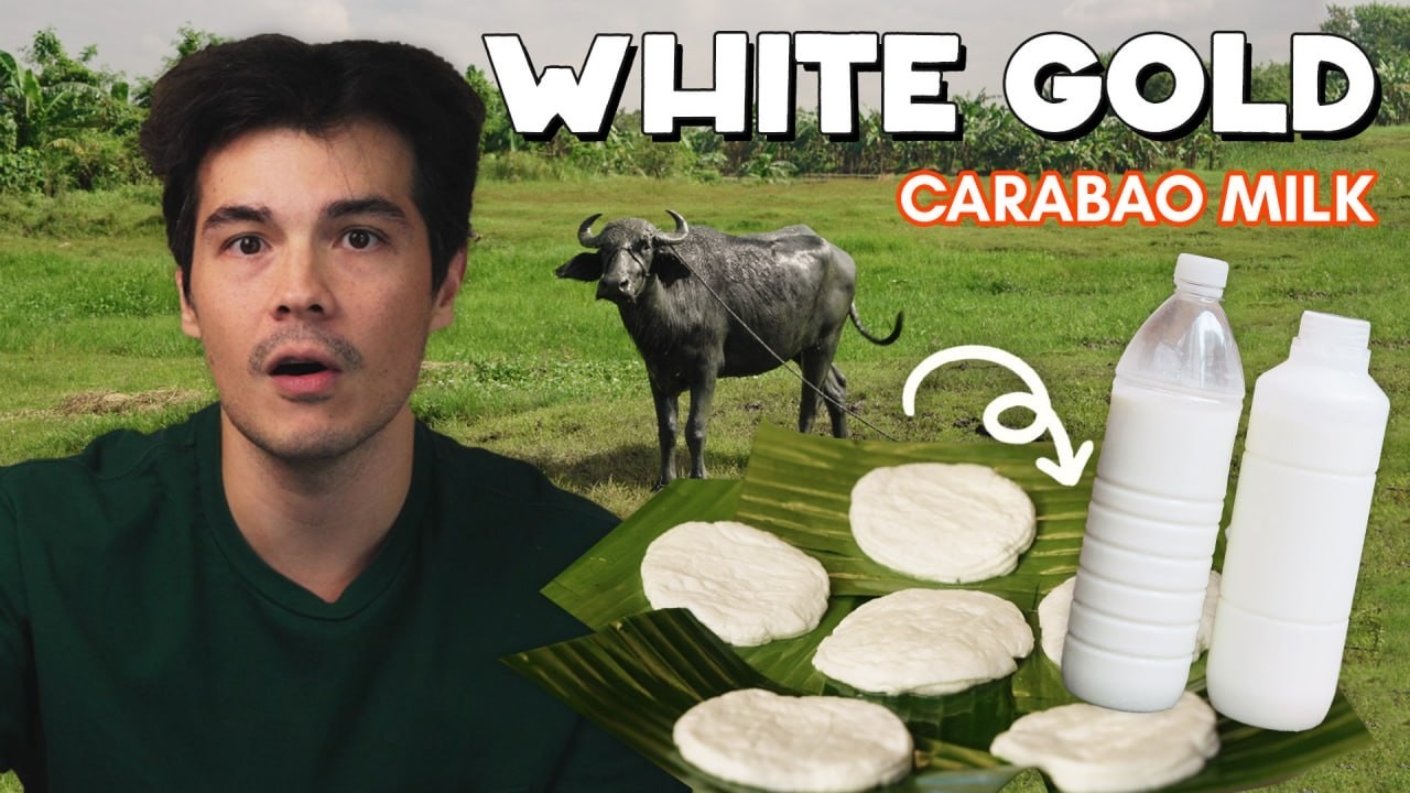 The Milk Problem No One Talks About in the PH