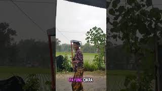 momen lucu ketika hujan nenek "pake payung cikra ‼️‼️#neneknenek #payung #kocak #lucu #shorts