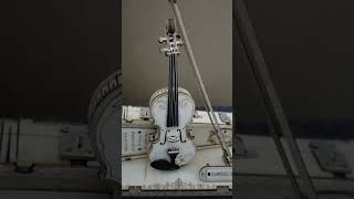 Violino 3D 🎻- Violino Bass