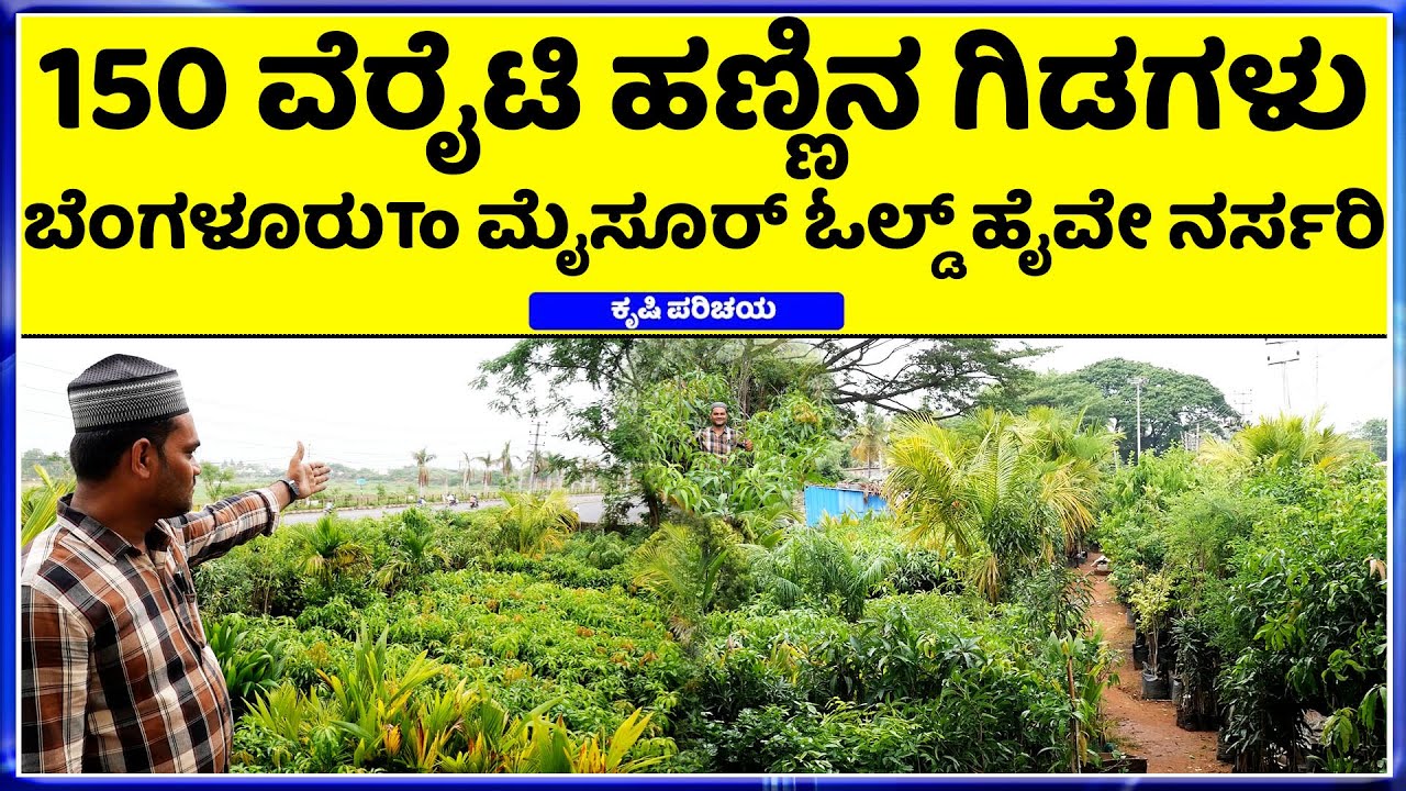 ಒಮ್ಮೆ ಭೇಟಿ ಕೊಡಿ || Syed Ali Modern Nursery Garden | Best Nursery
