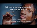 Why are so many people scared of bugs?