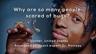 Why are so many people scared of bugs?