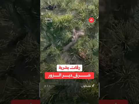 رفات بشرية شرق دير الزور