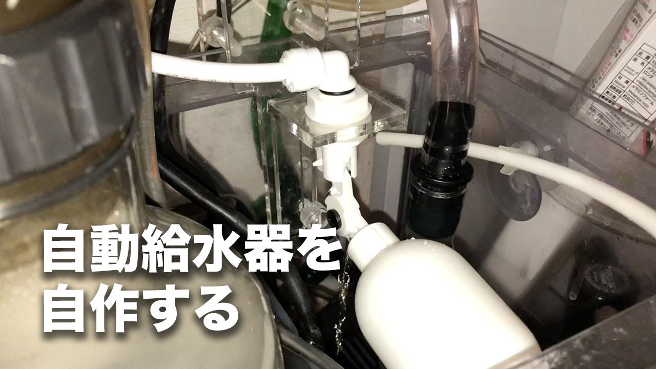 Diy 海水水槽 自動給水器が欲しい けどないの だったら作ればいい Youtube