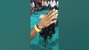 Jai Melody Ma 