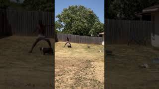 Cristiano Ronaldo Vs Lu At Mmp Residents