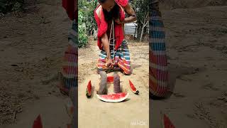 Look At Both Sides Of The Two Snakes.